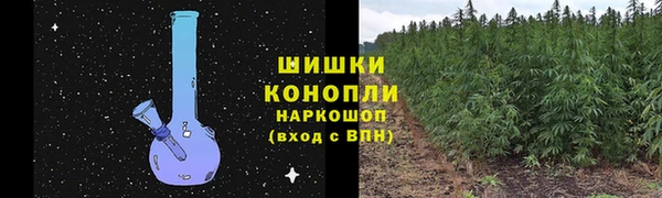 скорость Богородицк